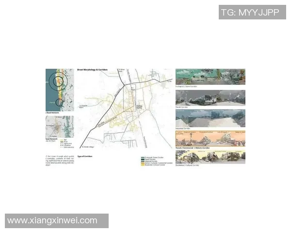 杭州足球队新篇章：从传统到现代的华丽转身与未来展望